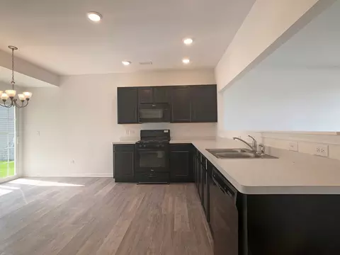 1048 Celebration Dr, Aurora, IL 60504 photo 3