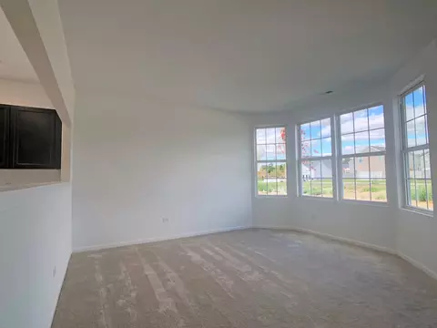 1048 Celebration Dr, Aurora, IL 60504 photo 9