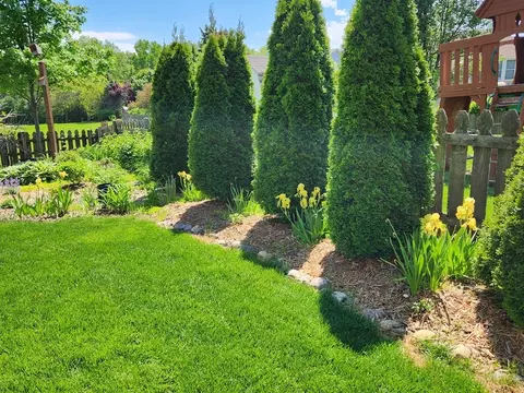 659 Brighton Ct, Bartlett, IL 60103 photo 31