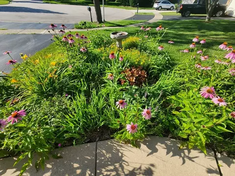 659 Brighton Ct, Bartlett, IL 60103 photo 29