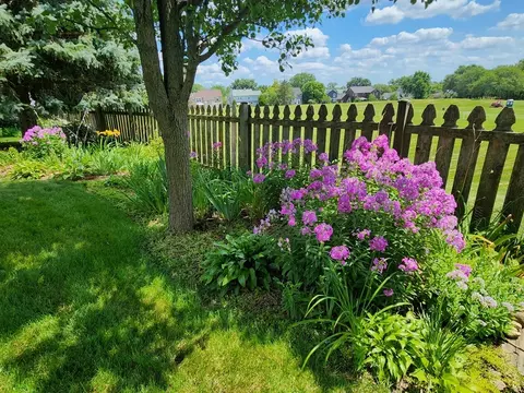 659 Brighton Ct, Bartlett, IL 60103 photo 32