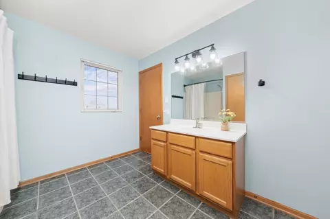 Bath - 135 Devonshire Ln, Crete, IL 60417 photo 3 of 3
