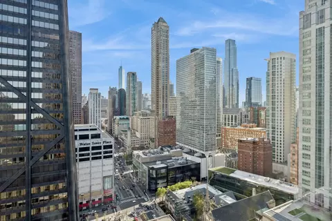 View/Area - 159 E Walton Pl #23A, Chicago, IL 60611 photo 6 of 6