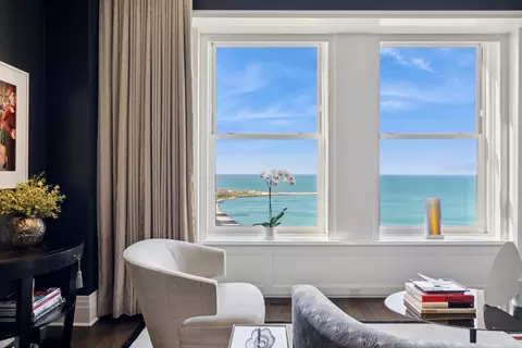 View/Area - 159 E Walton Pl #23A, Chicago, IL 60611 photo 1 of 6