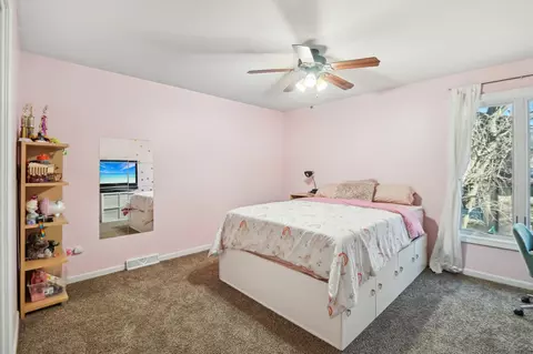 3524 Parthenon Way, Olympia Fields, IL 60461 photo 22