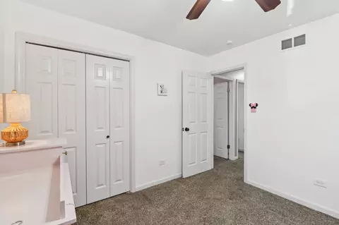 3524 Parthenon Way, Olympia Fields, IL 60461 photo 21