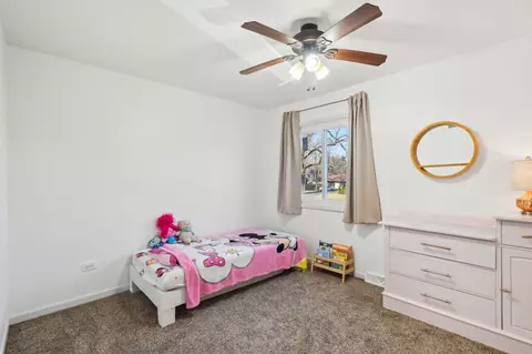 3524 Parthenon Way, Olympia Fields, IL 60461 photo 19