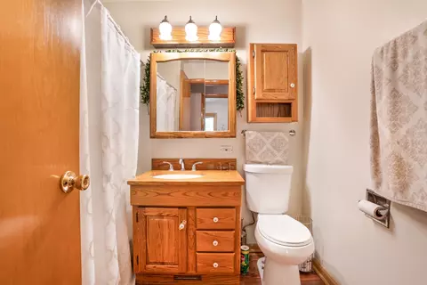 Bath - 43 Blackhawk Dr, Thornton, IL 60476 photo 1 of 3