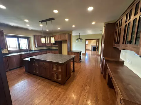 4341 W Olendorf Rd, Monee, IL 60449 photo 8