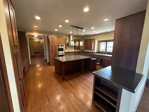4341 W Olendorf Rd, Monee, IL 60449 photo 9