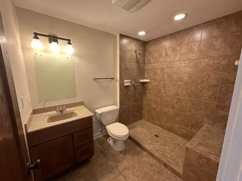 4341 W Olendorf Rd, Monee, IL 60449 photo 33