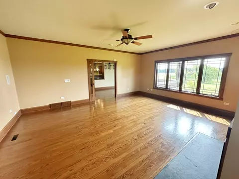 4341 W Olendorf Rd, Monee, IL 60449 photo 15
