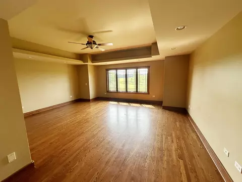 4341 W Olendorf Rd, Monee, IL 60449 photo 14