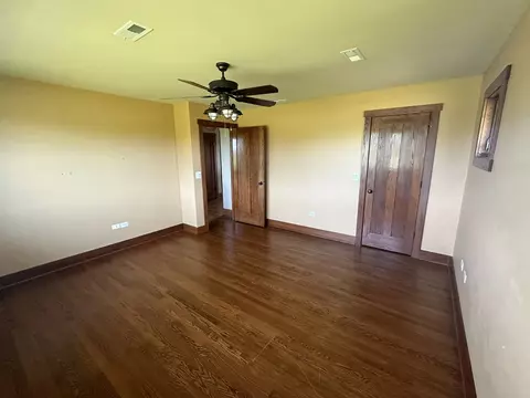 4341 W Olendorf Rd, Monee, IL 60449 photo 25