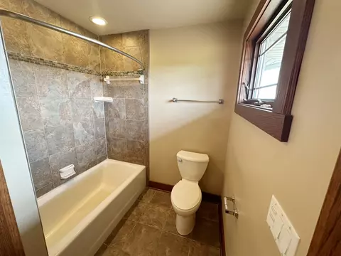 4341 W Olendorf Rd, Monee, IL 60449 photo 29