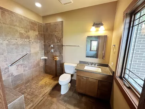 4341 W Olendorf Rd, Monee, IL 60449 photo 20