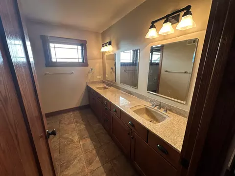 4341 W Olendorf Rd, Monee, IL 60449 photo 28