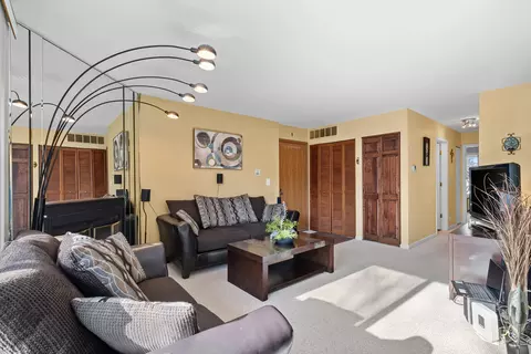 Living - 713 Crescent Ct #C2, Bartlett, IL 60103 photo 2 of 2