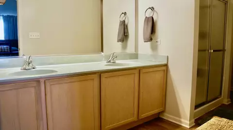 Bath - 375 Gladstone Ln, Elgin, IL 60120 photo 2 of 4