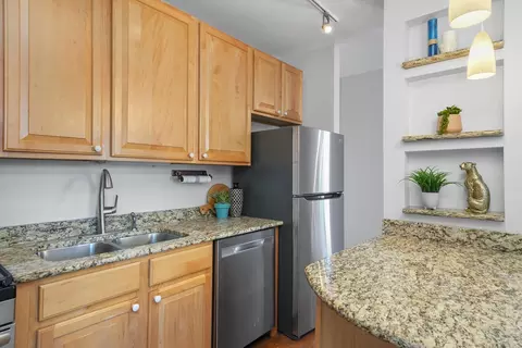 811 S Lytle St #216, Chicago, IL 60607 photo 4