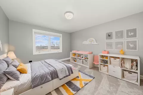 Bedroom - 110 Sky View Ln, Beecher, IL 60401 photo 7 of 9