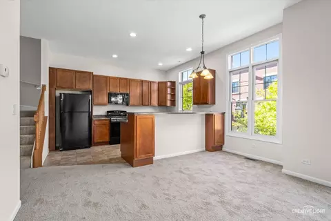 Other - 157 River Walk Ct, Elgin, IL 60120 photo 1 of 3