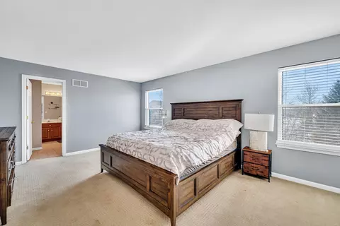 Bedroom - 211 River Ct, Minooka, IL 60447 photo 1 of 4