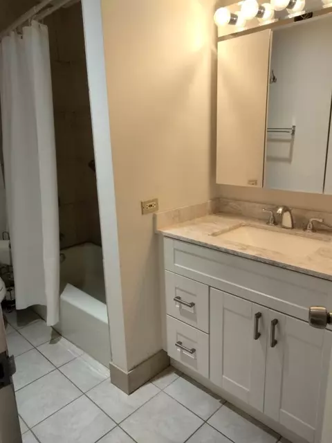 Bath - 5100 N Marine Dr #23E, Chicago, IL 60640 photo 1 of 2