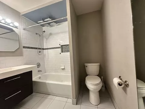 Bath - 2606 Dove St, Rolling Meadows, IL 60008 photo 3 of 4