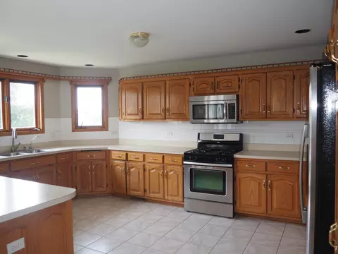 Kitchen - 26560 S Anna Ln, Monee, IL 60449 photo 1 of 6