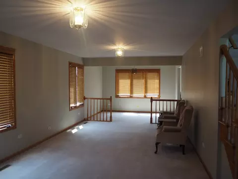 Living - 26560 S Anna Ln, Monee, IL 60449 photo 3 of 6