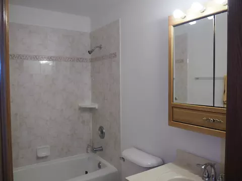Bath - 26560 S Anna Ln, Monee, IL 60449 photo 6 of 6