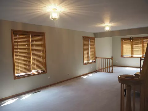 Living - 26560 S Anna Ln, Monee, IL 60449 photo 4 of 6