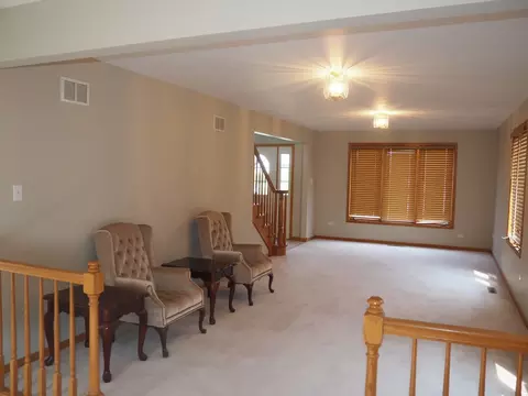 Living - 26560 S Anna Ln, Monee, IL 60449 photo 6 of 6