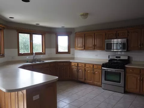 Kitchen - 26560 S Anna Ln, Monee, IL 60449 photo 5 of 6