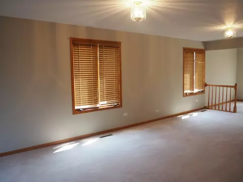 Living - 26560 S Anna Ln, Monee, IL 60449 photo 5 of 6