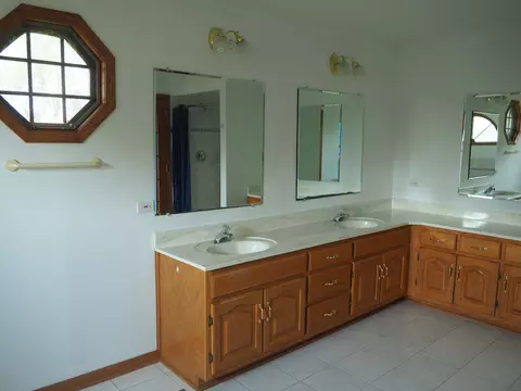 Bath - 26560 S Anna Ln, Monee, IL 60449 photo 4 of 6