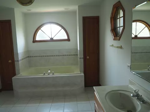 Bath - 26560 S Anna Ln, Monee, IL 60449 photo 2 of 6
