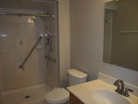 Bath - 26560 S Anna Ln, Monee, IL 60449 photo 1 of 6
