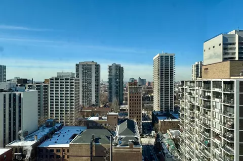 1 E Schiller St #19D, Chicago, IL 60610 photo 14