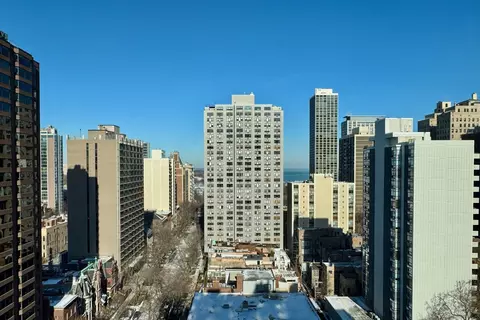 1 E Schiller St #19D, Chicago, IL 60610 photo 13