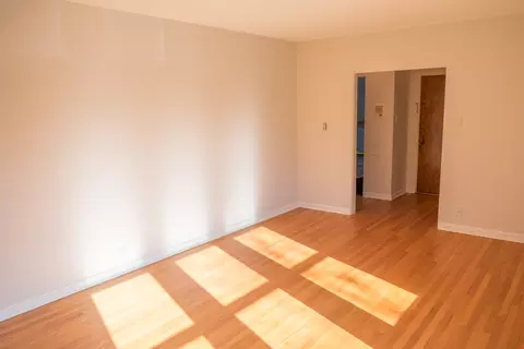 Living - 100 Pine Ave #6, Riverside, IL 60546 photo 5 of 6