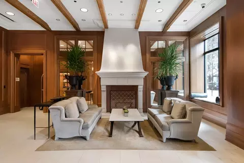 10 E Delaware Pl #33B, Chicago, IL 60611 photo 36
