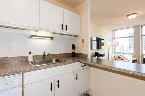 111 E Chestnut St #22D, Chicago, IL 60611 photo 8