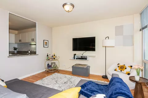 111 E Chestnut St #22D, Chicago, IL 60611 photo 3