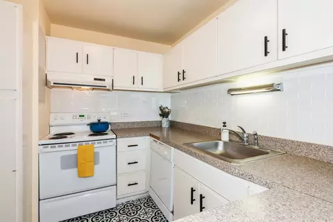 111 E Chestnut St #22D, Chicago, IL 60611 photo 7