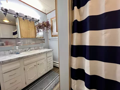 Bath - 302 Dickson St, Sidell, IL 61876 photo 3 of 3