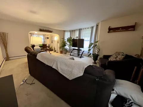 Living - 302 Dickson St, Sidell, IL 61876 photo 2 of 5