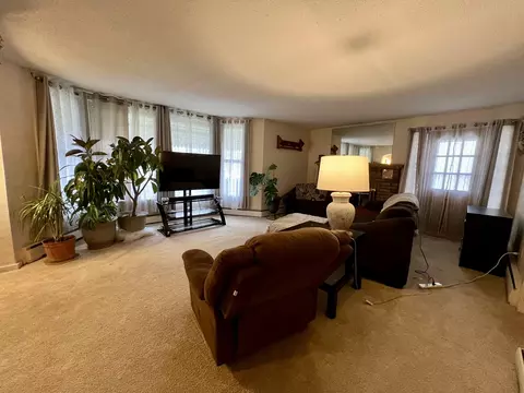 Living - 302 Dickson St, Sidell, IL 61876 photo 3 of 5