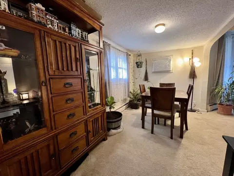 Dining - 302 Dickson St, Sidell, IL 61876 photo 4 of 4